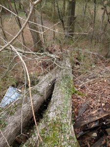 Emergency Storm Clean Up Before - Loretto, TN (Lawrence County, TN)