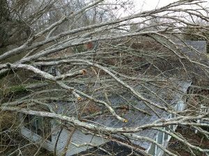 Emergency Storm Clean Up Before - Loretto, TN (Lawrence County, TN)
