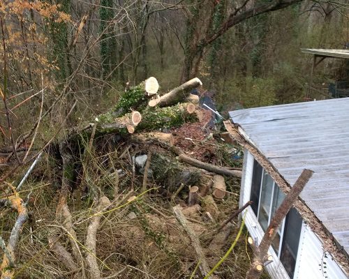 Emergency Storm Clean Up After - Loretto, TN (Lawrence County, TN)